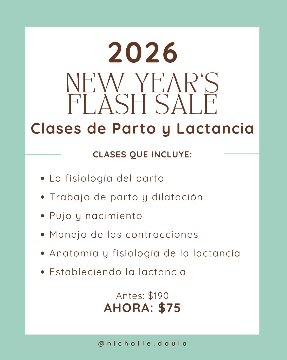 ✨ NEW YEAR’S FLASH SALE ✨