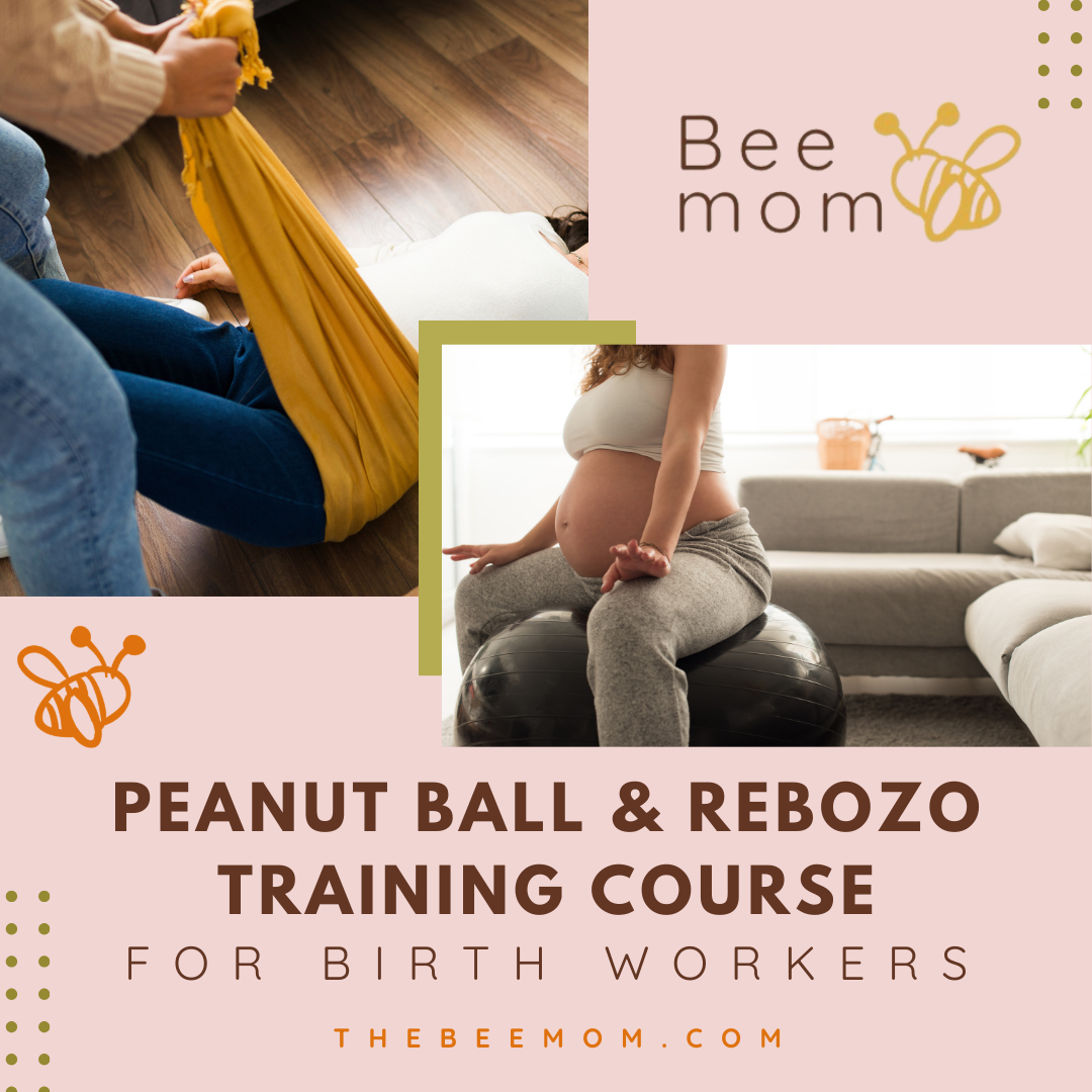 Peanut Ball & Rebozo Training Course