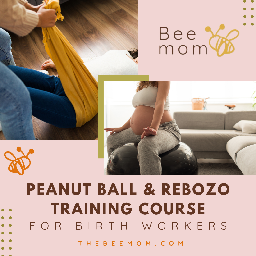 Peanut Ball &amp; Rebozo Training Course