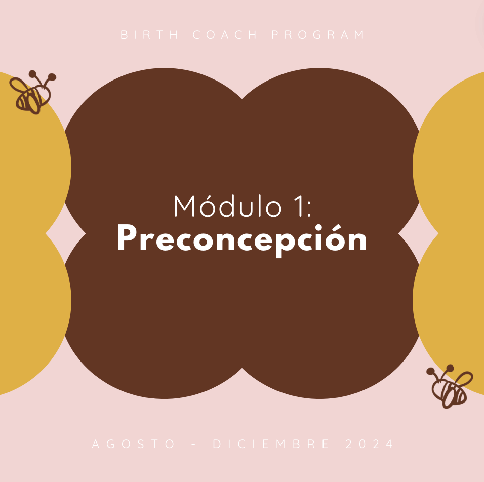 Módulo 1: Preconcepción (Agosto - Diciembre 2024)