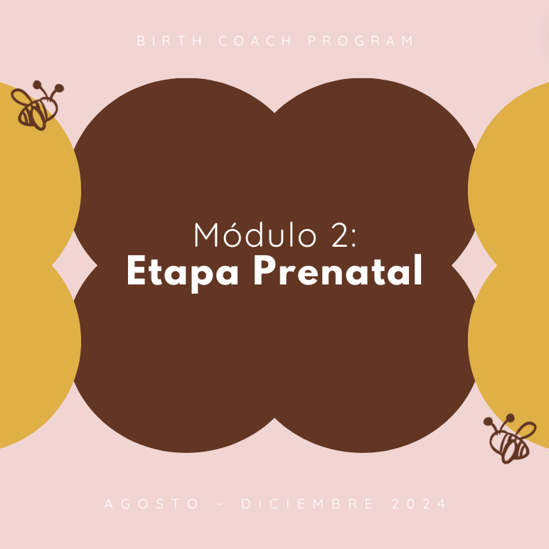 Módulo 2: Etapa Prenatal (Agosto - Diciembre 2024)