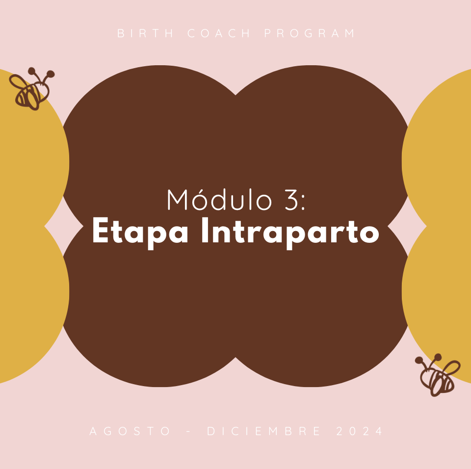 Módulo 3: Etapa Intraparto (Agosto - Diciembre 2024)