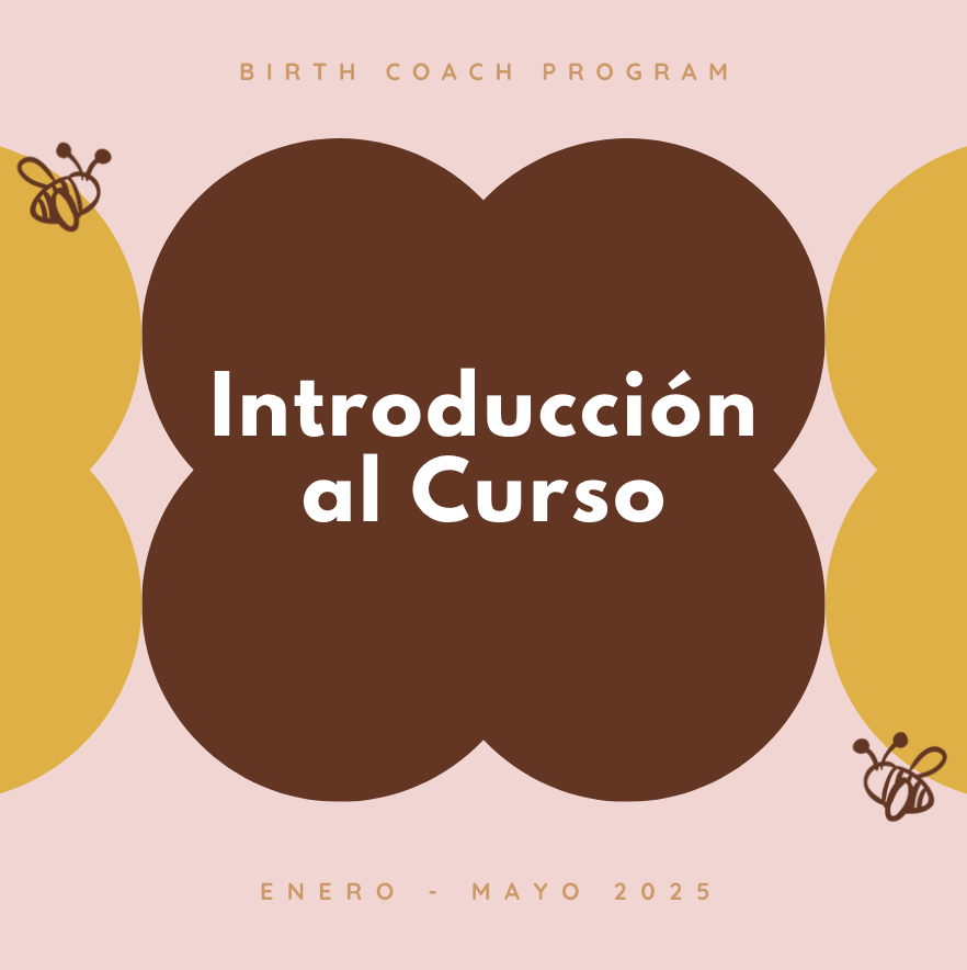 Introducción al Curso (Enero - Mayo 2025)