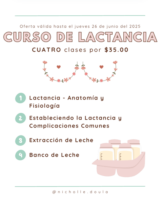 Curso de Lactancia