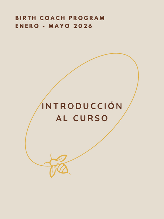 Introducción al Curso (Enero - Mayo 2026)