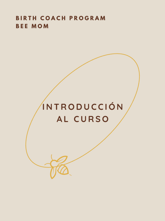 Introducción al Curso (Enero - Mayo 2026)
